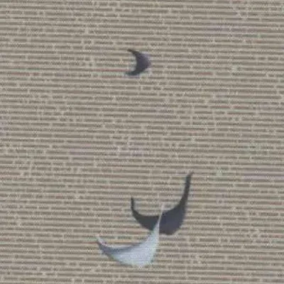 Blackout Blinds Dubai