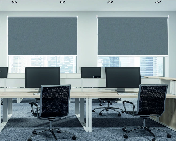 Office window blinds