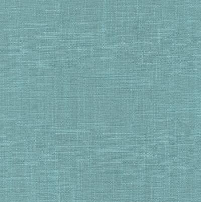 Aster Plus 026