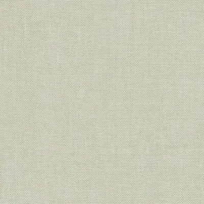 Dense 018
