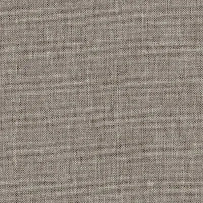 Dense 027
