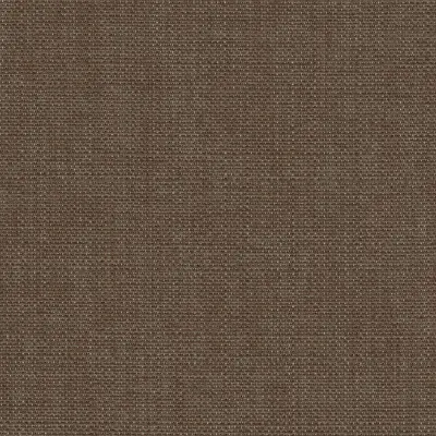 Opaque 029