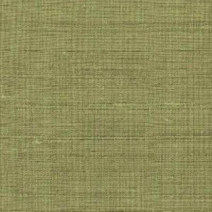 Silk Agra 019
