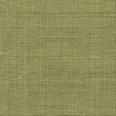 Silk Agra 019