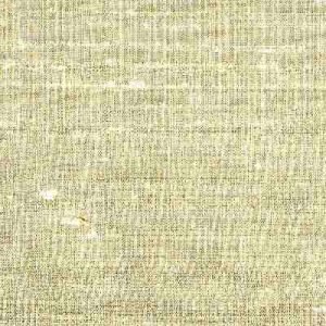 Silk Agra 020