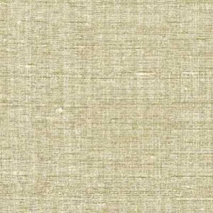 Silk Agra 021