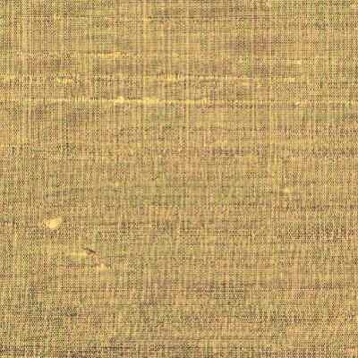Silk Agra 022