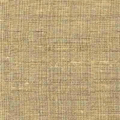 Silk Agra 023