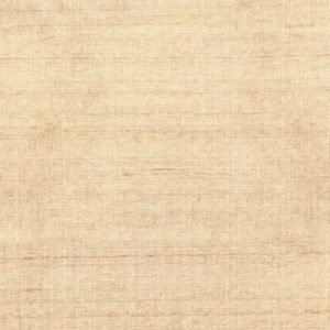 Silk Oceana 026
