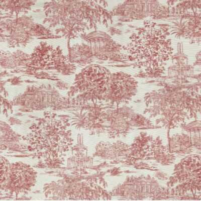 Cayetana Cotton 2015