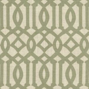 Cotton Aster 010