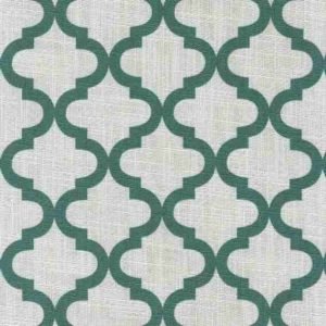 Cotton Aster 025