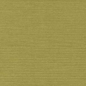 Cotton Fiber 034