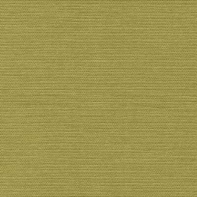 Cotton Fiber 034