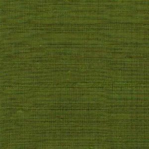 Silk Read 028