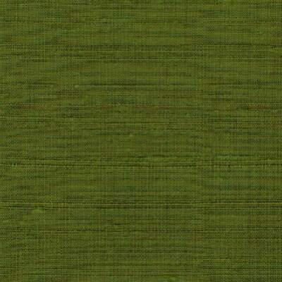 Silk Read 028