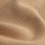 Motorized Curtains