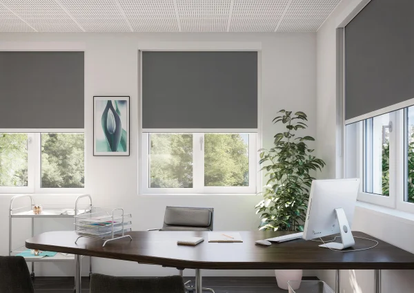 Roman Blackout Blinds